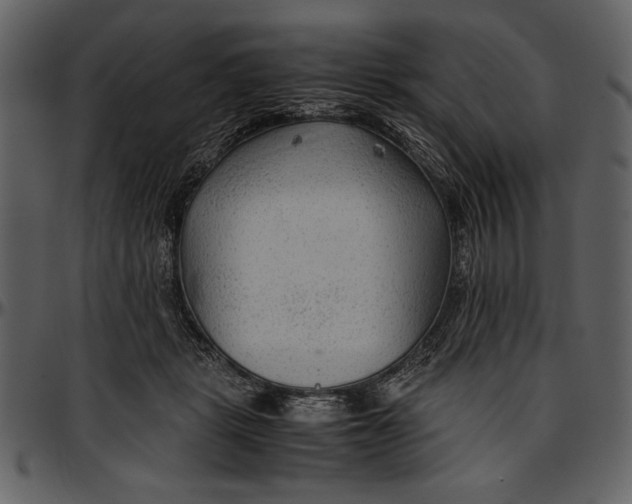 X0000096940461200802291037