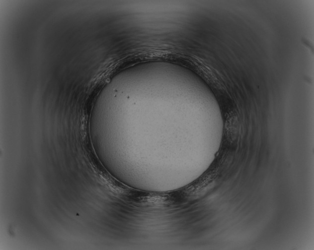 X0000096940462200802291037