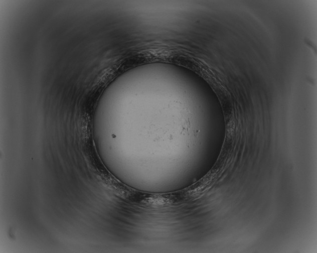 X0000096940464200802291037