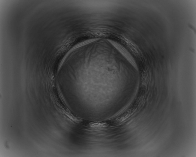 X0000096940465200802291037