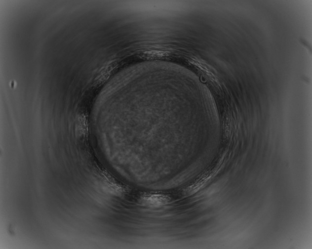 X0000096940467200802291037