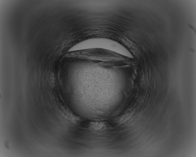 X0000096940469200802291037