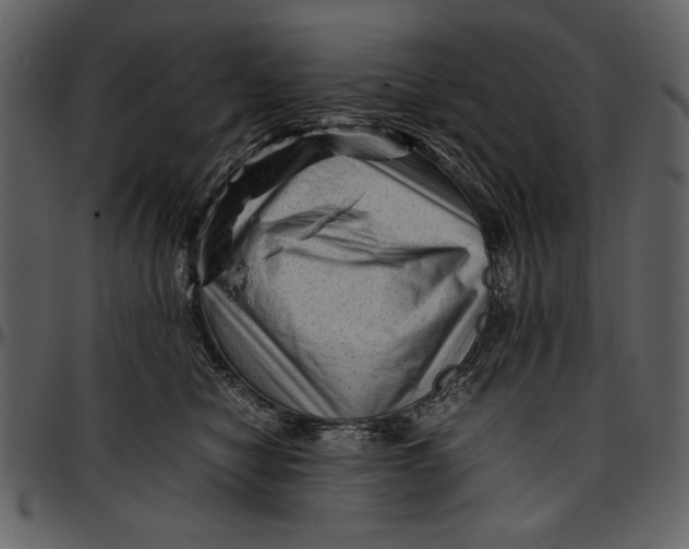 X0000096940470200802291037