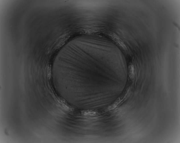 X0000096940471200802291037