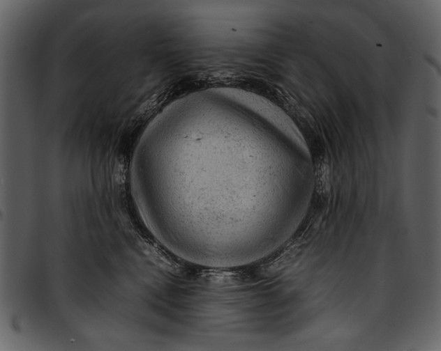 X0000096940472200802291037