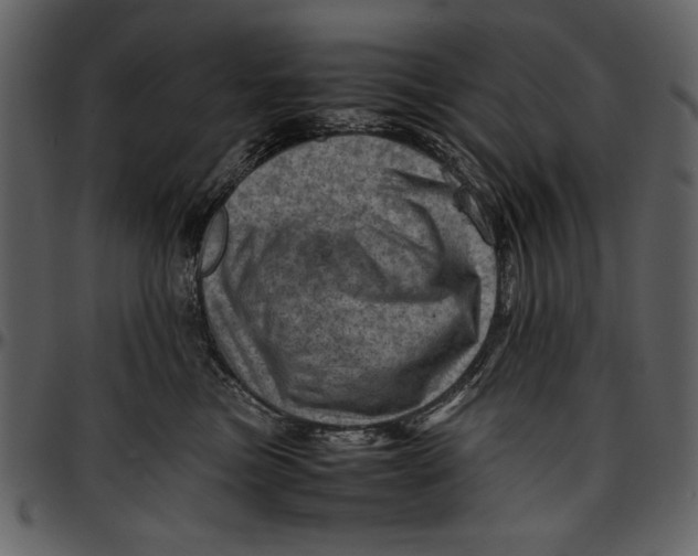 X0000096940473200802291037