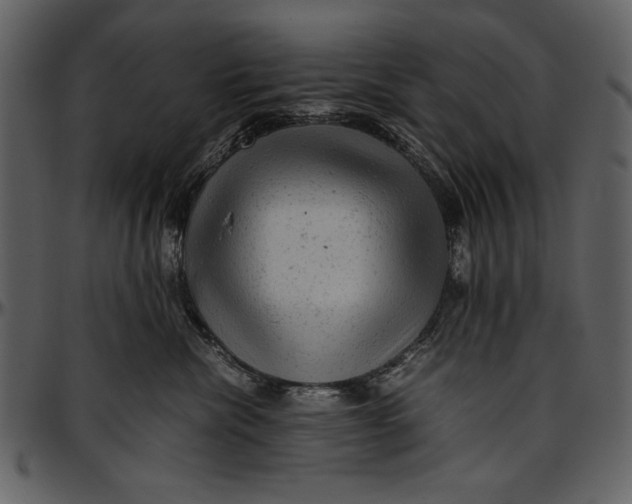 X0000096940476200802291037