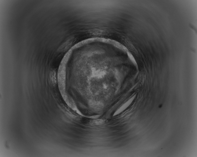 X0000096940479200802291037