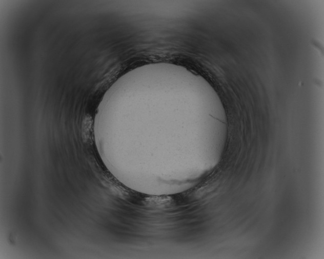 X0000096940480200802291037