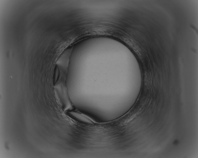 X0000096940481200802291037