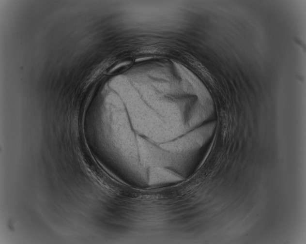 X0000096940482200802291037