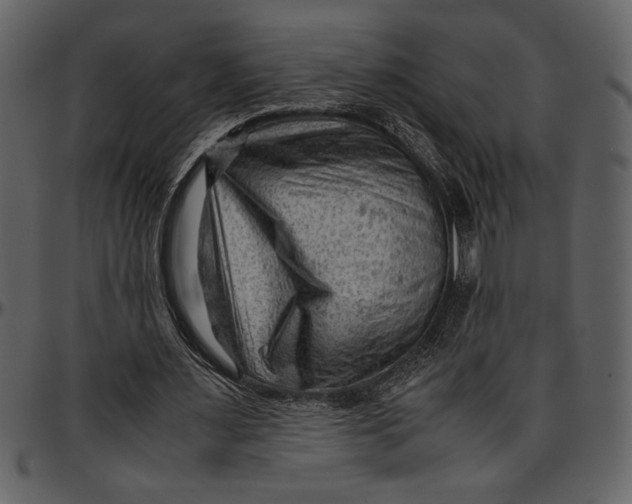 X0000096940483200802291037