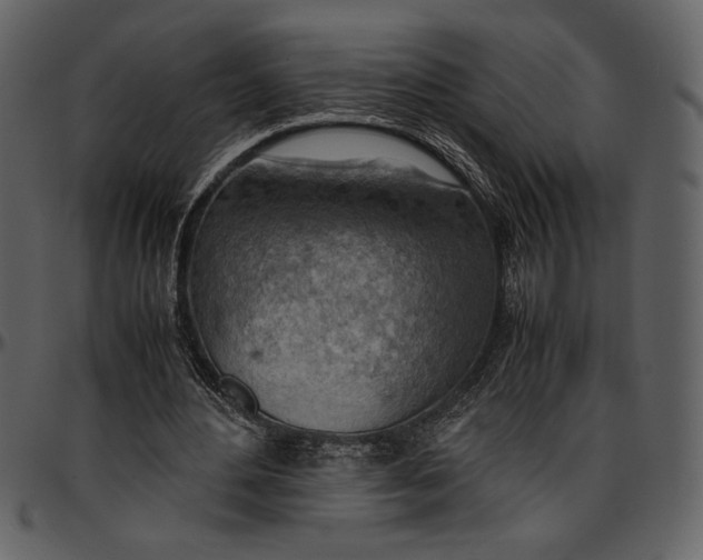 X0000096940484200802291037