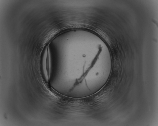 X0000096940485200802291037