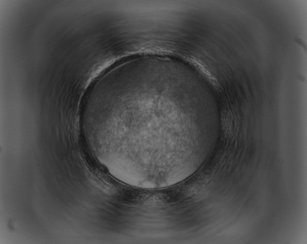 X0000096940488200802291036