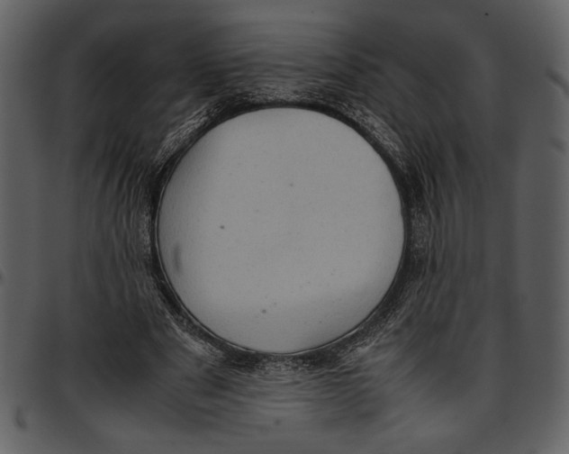 X0000096940489200802291036