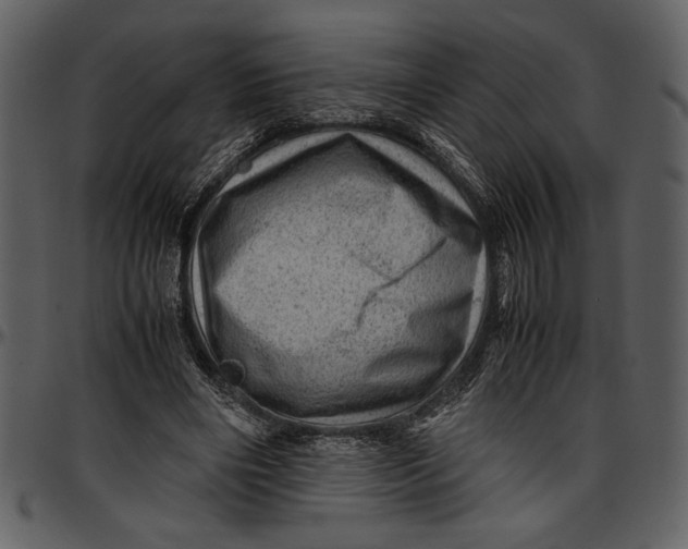 X0000096940490200802291036