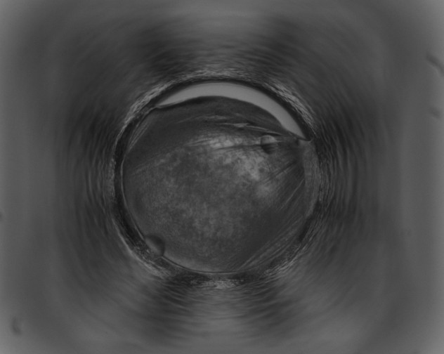 X0000096940492200802291036