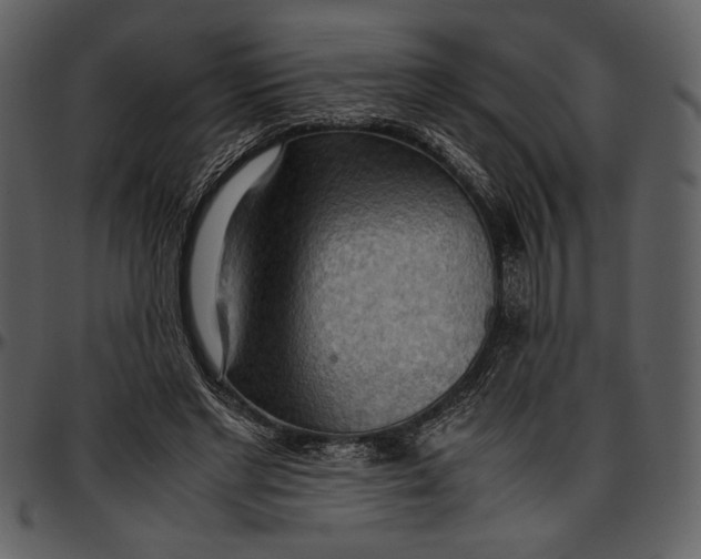 X0000096940493200802291036