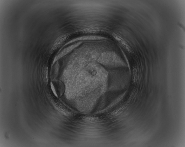 X0000096940494200802291036