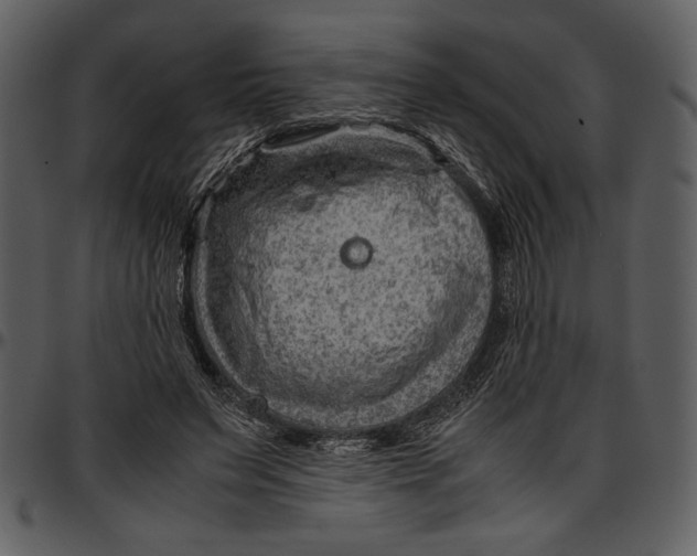 X0000096940495200802291036