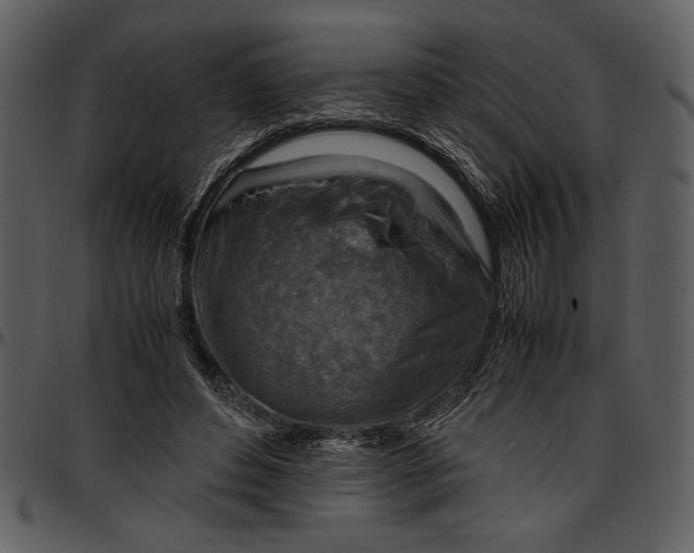 X0000096940496200802291036