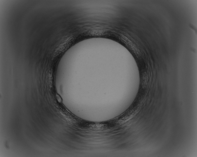 X0000096940497200802291036