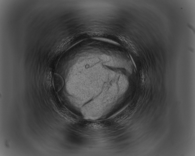 X0000096940498200802291036