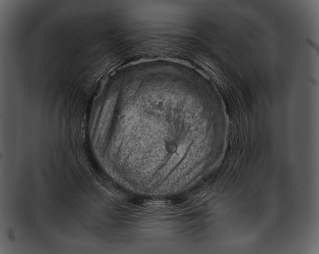 X0000096940499200802291036