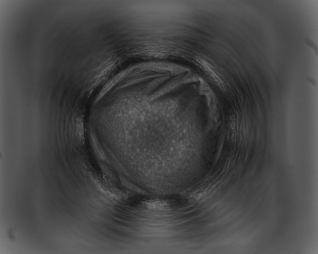 X0000096940500200802291036