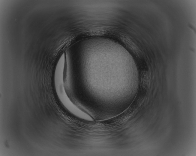 X0000096940501200802291036