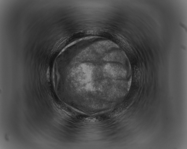 X0000096940502200802291036