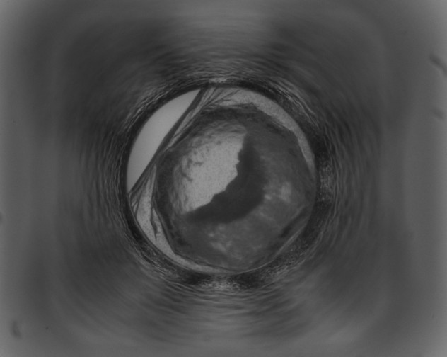 X0000096940503200802291036