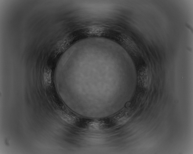 X0000096940504200802291036