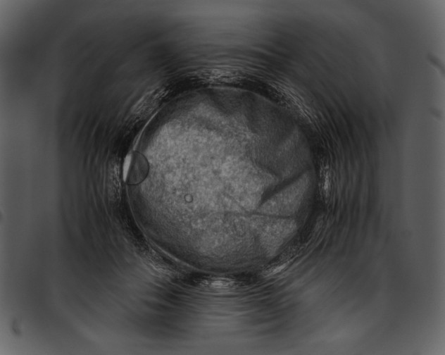 X0000096940506200802291036