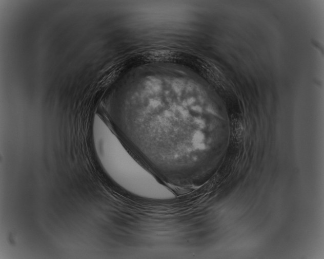 X0000096940507200802291036