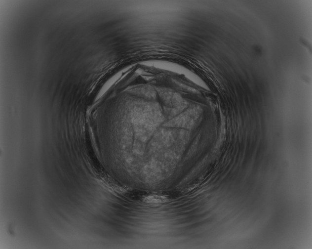 X0000096940508200802291036