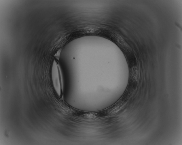 X0000096940509200802291036