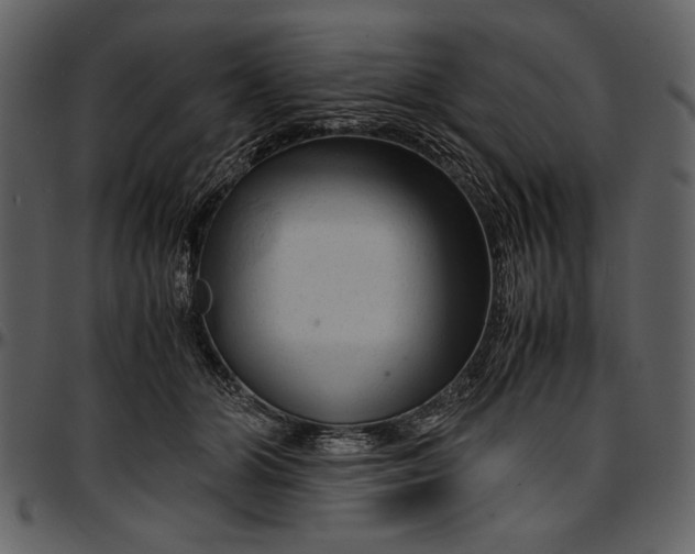 X0000096940510200802291036