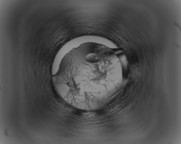 X0000096940511200802291036