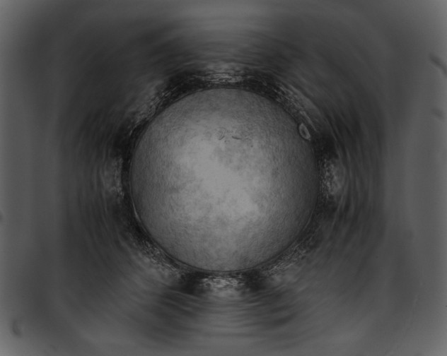 X0000096940512200802291036