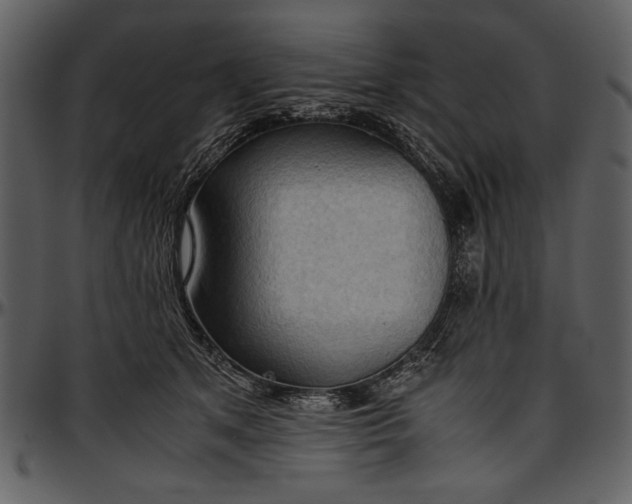 X0000096940513200802291036