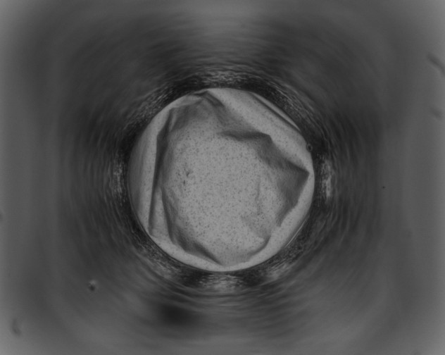 X0000096940514200802291036