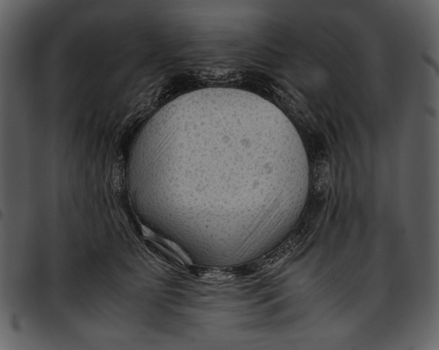 X0000096940515200802291036