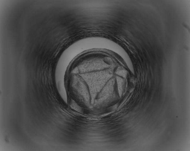 X0000096940516200802291036