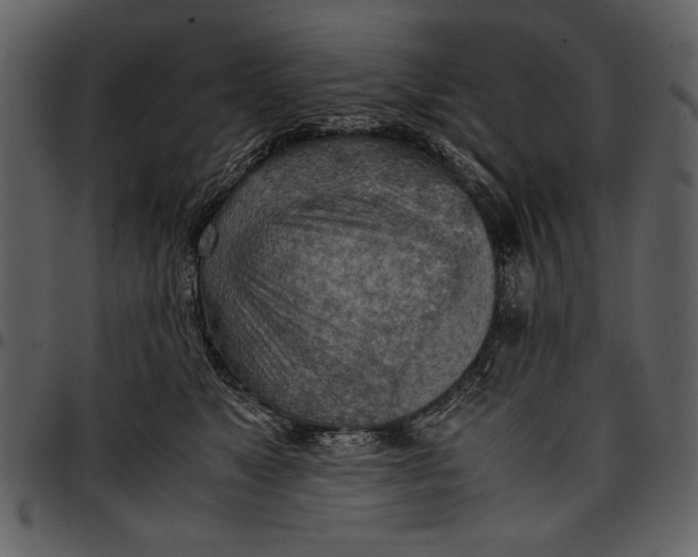 X0000096940517200802291036