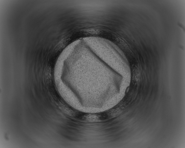 X0000096940518200802291036