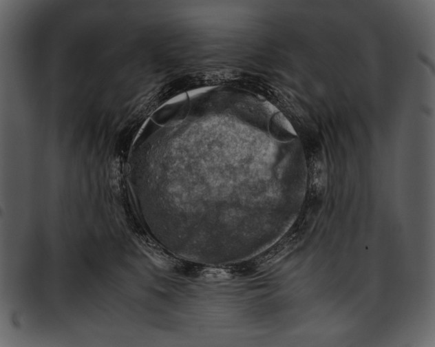 X0000096940519200802291036