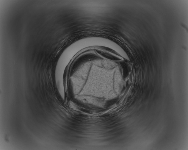 X0000096940520200802291036