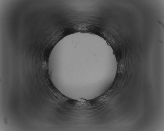 X0000096940521200802291036